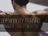 Shoulder Mobility Training Importance Of Stability Motion