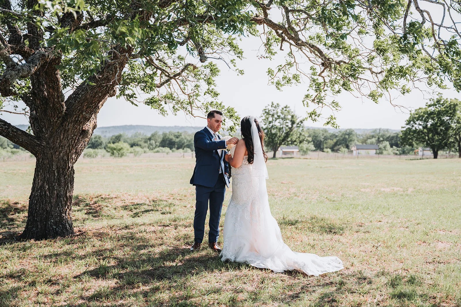 Live oaks across the pasture at The Ginger Ranch, Fredericksburg, TX