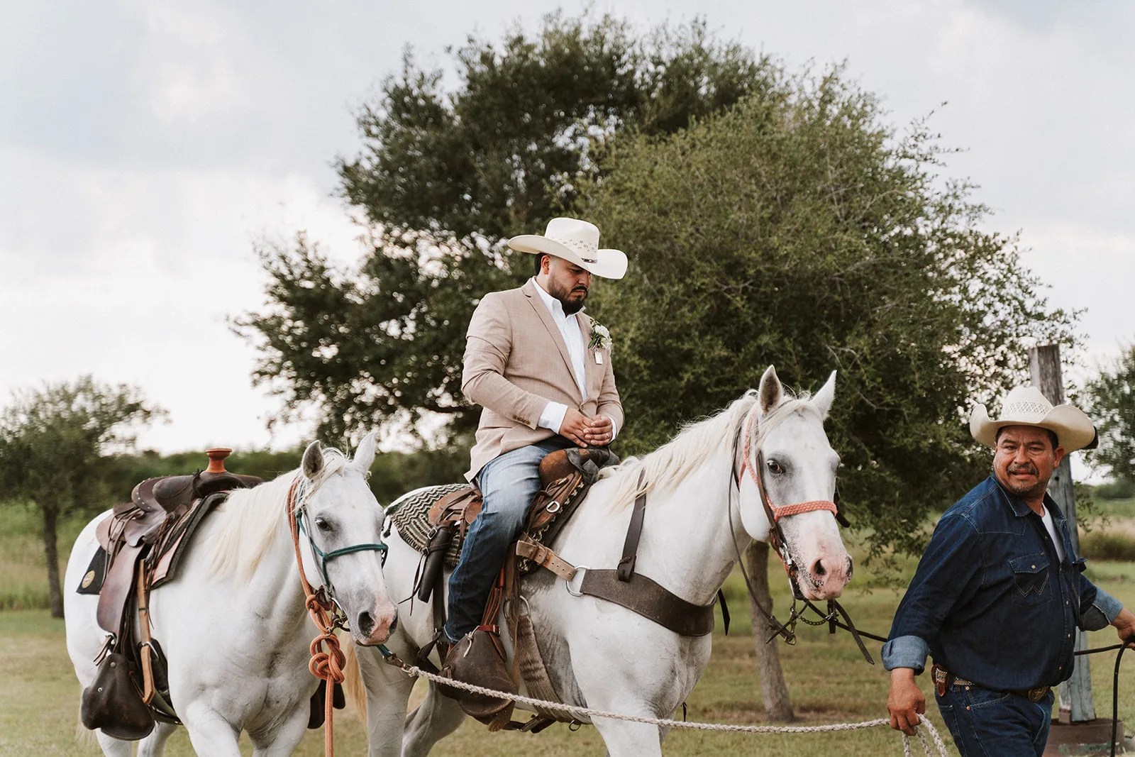 A horse on the ranch at Tin Spur Ranch, Inez, TX