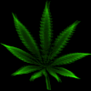 smoking7
