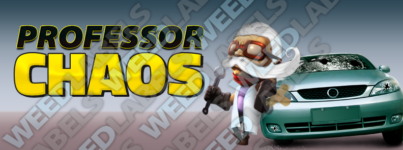 PROFESSOR CHAOS