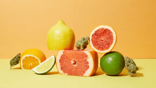 Terpenes as aromatic signal