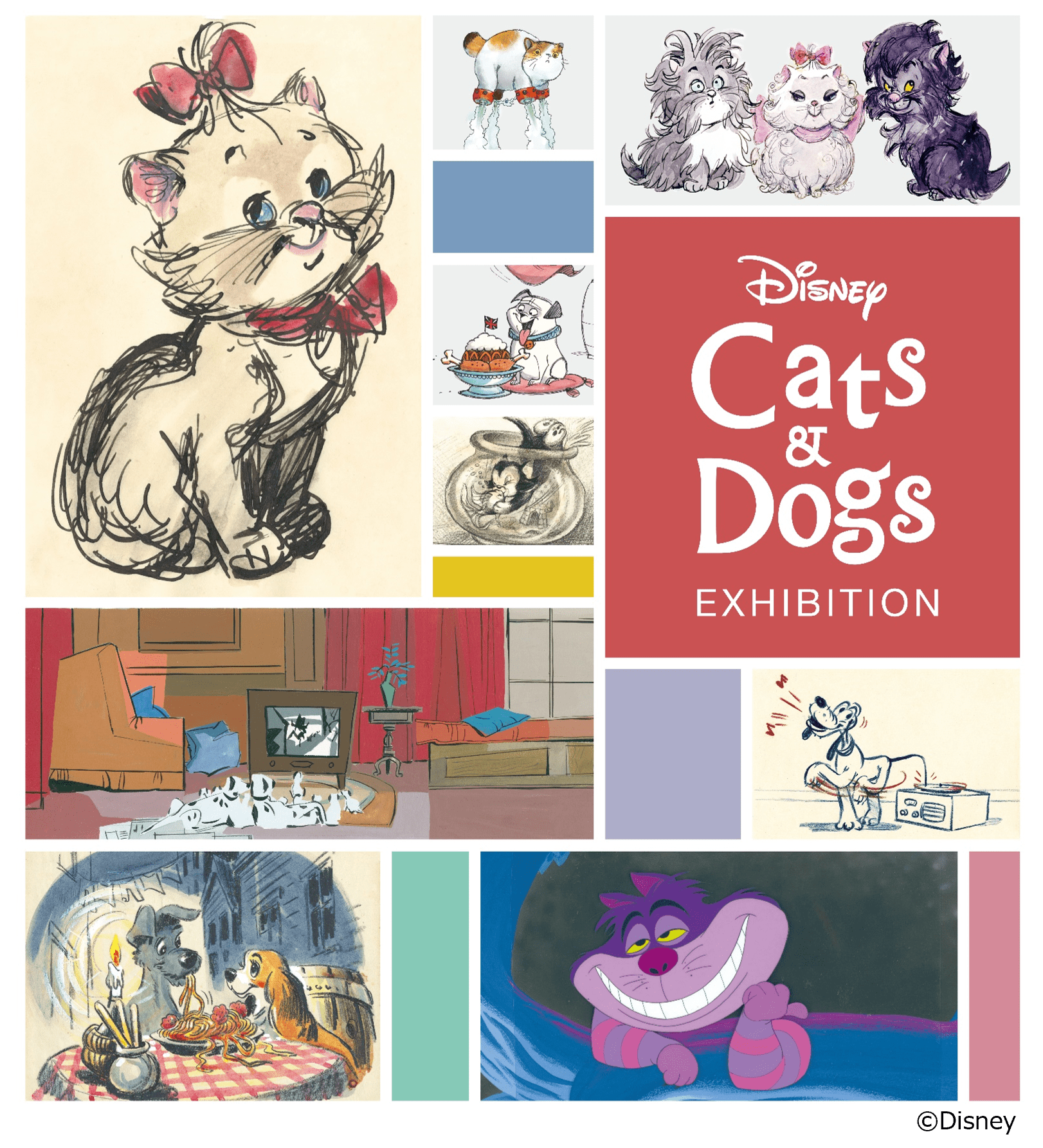 ディズニー作品の“犬と猫”の魅力に迫る本格的な展覧会「ディズニー キャッツ&ドッグス展」12月1日より開催決定