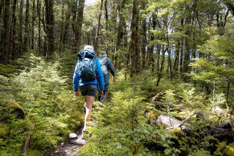 Headwaters Eco Lodge Glenorchy guided Routeburn Track Walk 1