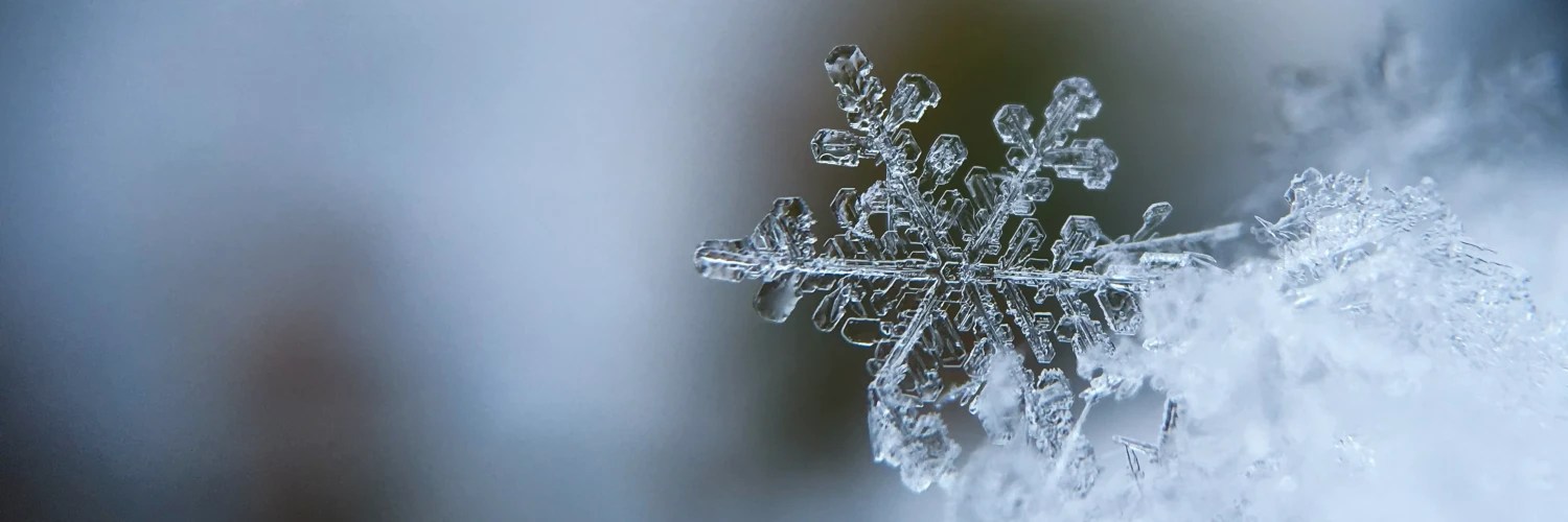 5 places you can see snow near Sydney