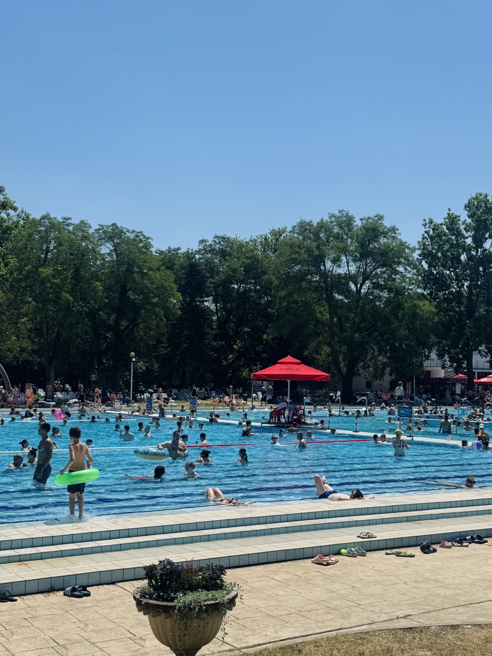 Busy swimming pool at Palatinus Strand Bath
