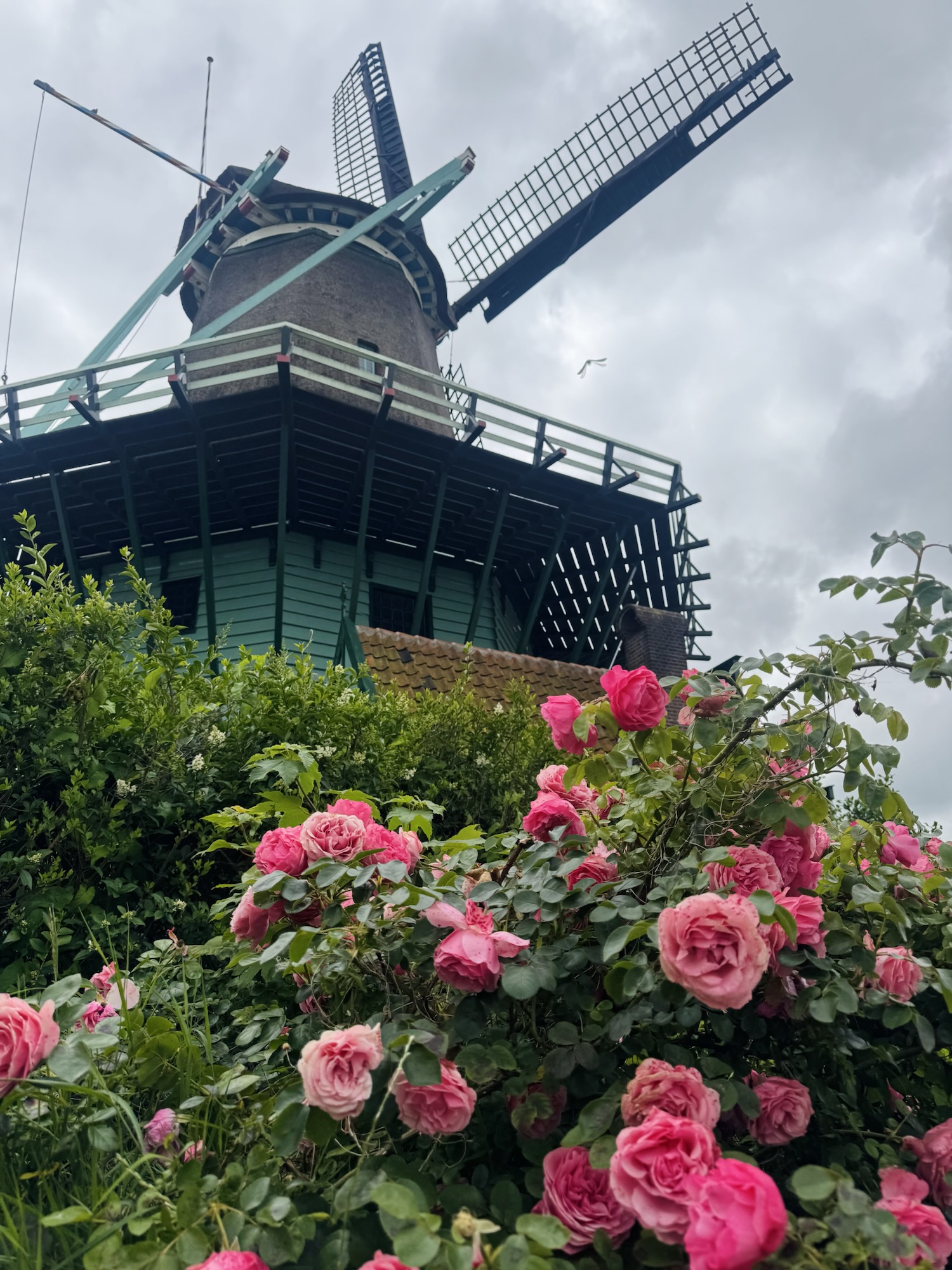 Windmill with pink florals
