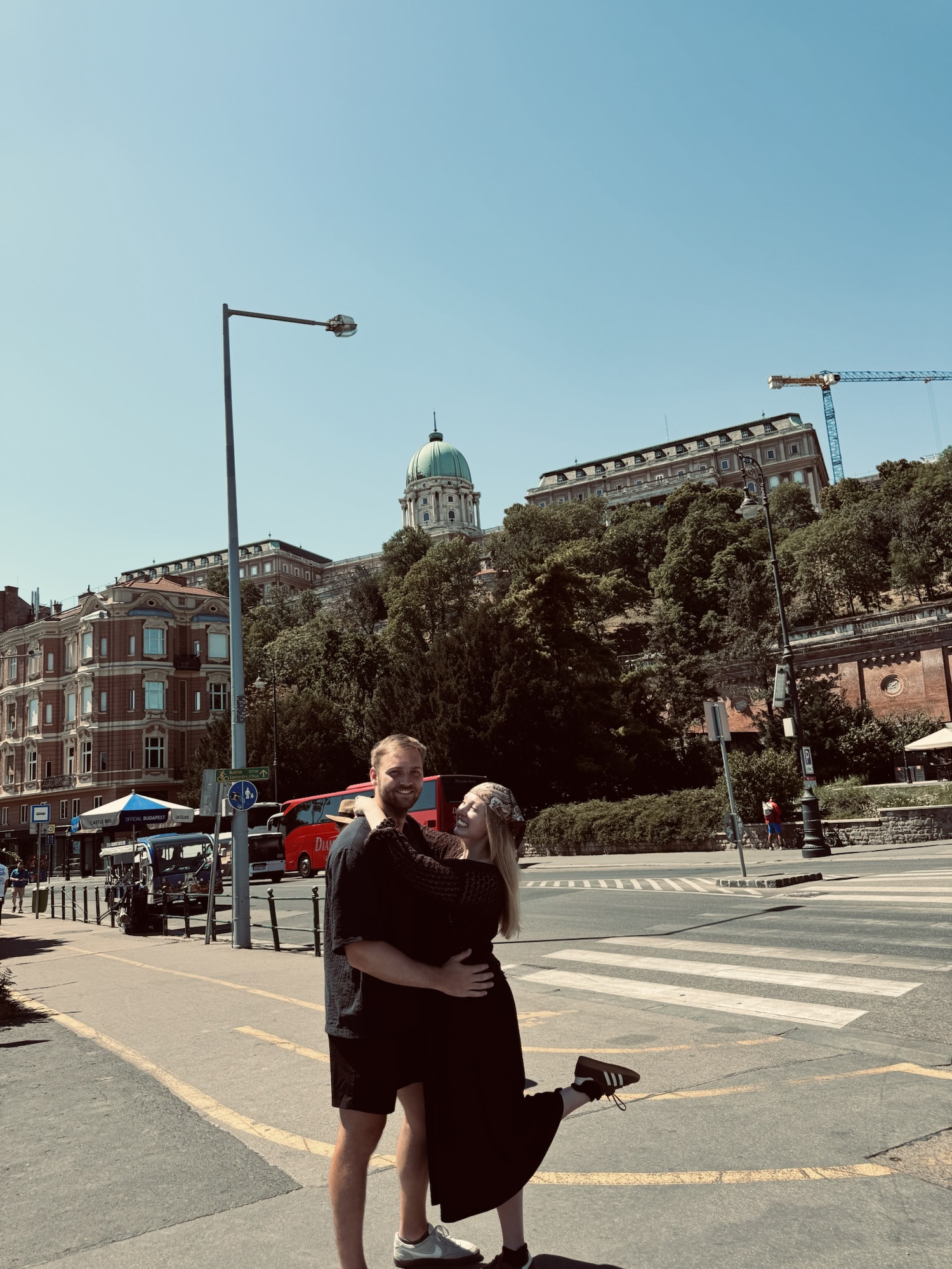 Buda Castle on hilltop