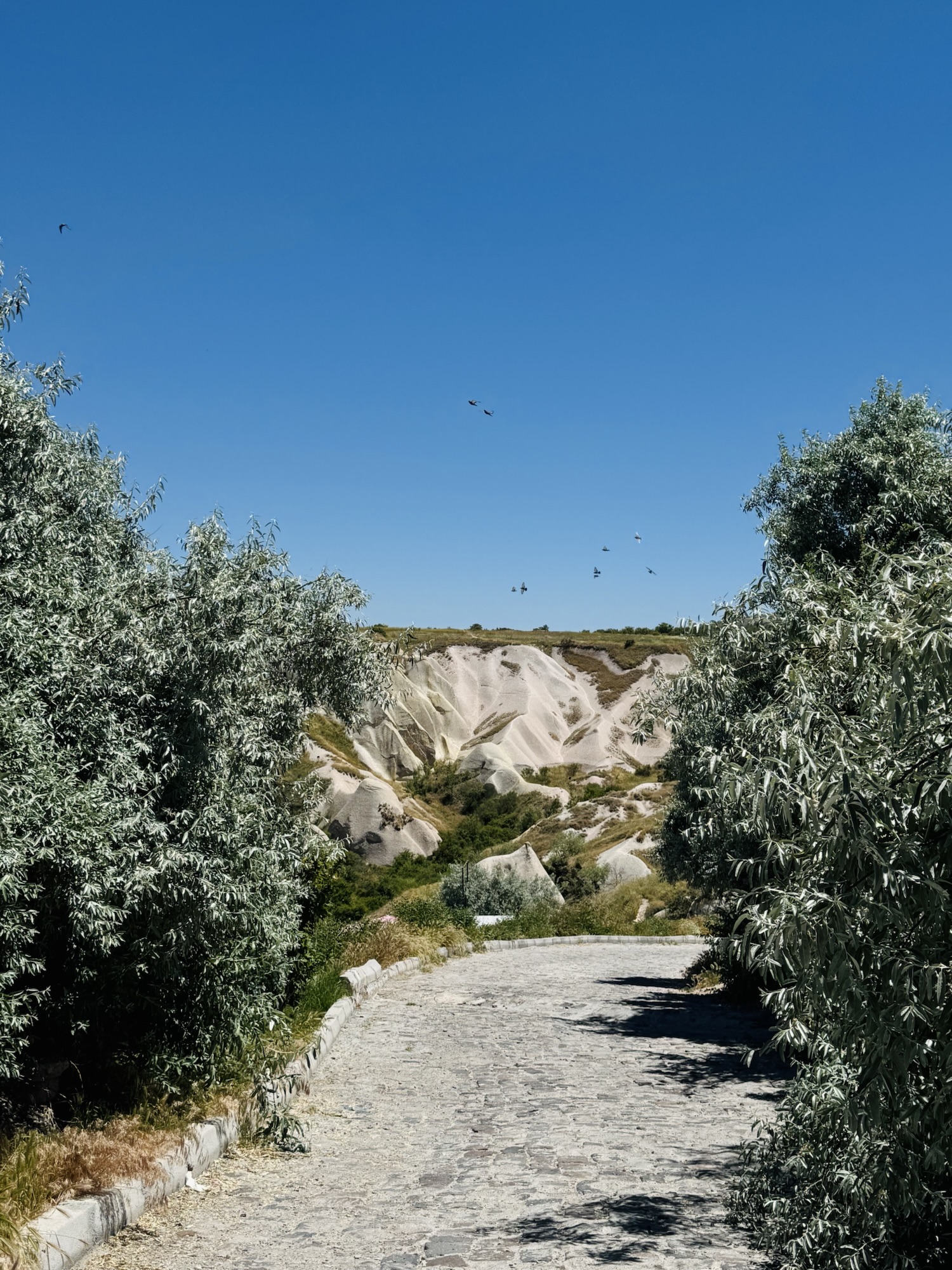 Pigeon Valley in Cappadocia