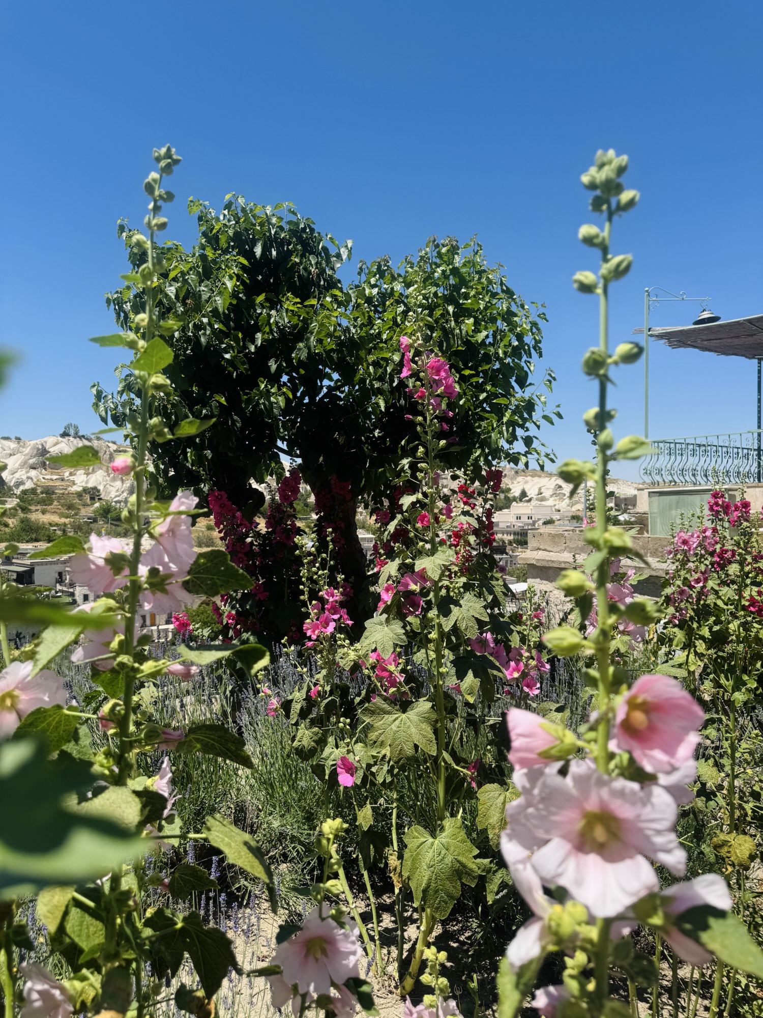 Variety of pink flowers and greenery