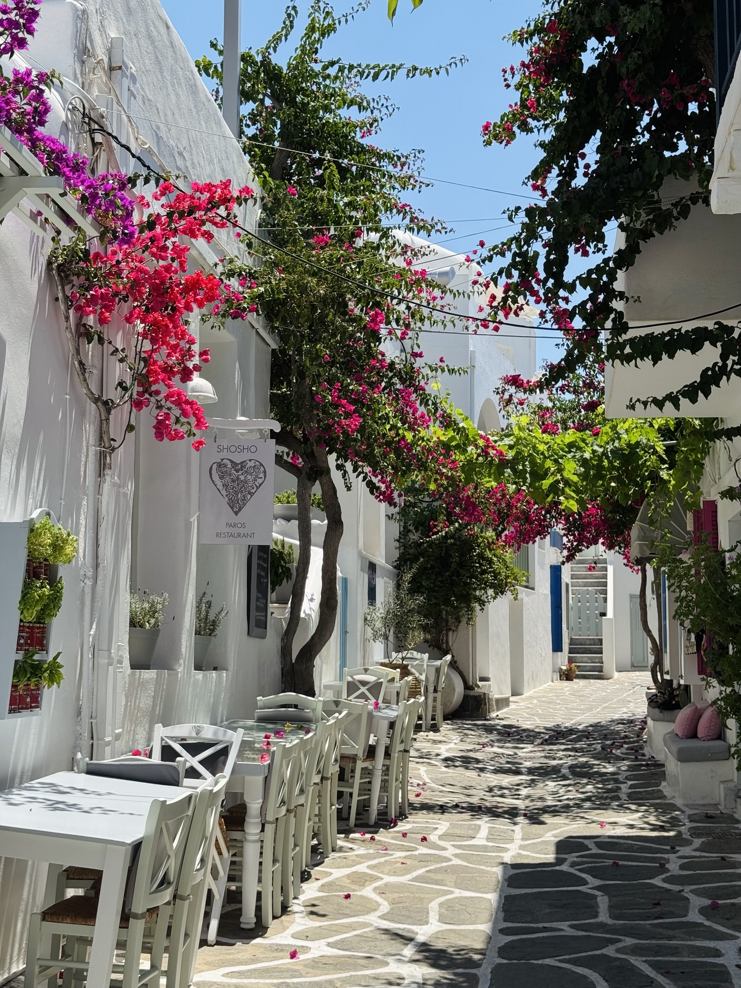 Naoussa village streets with florals