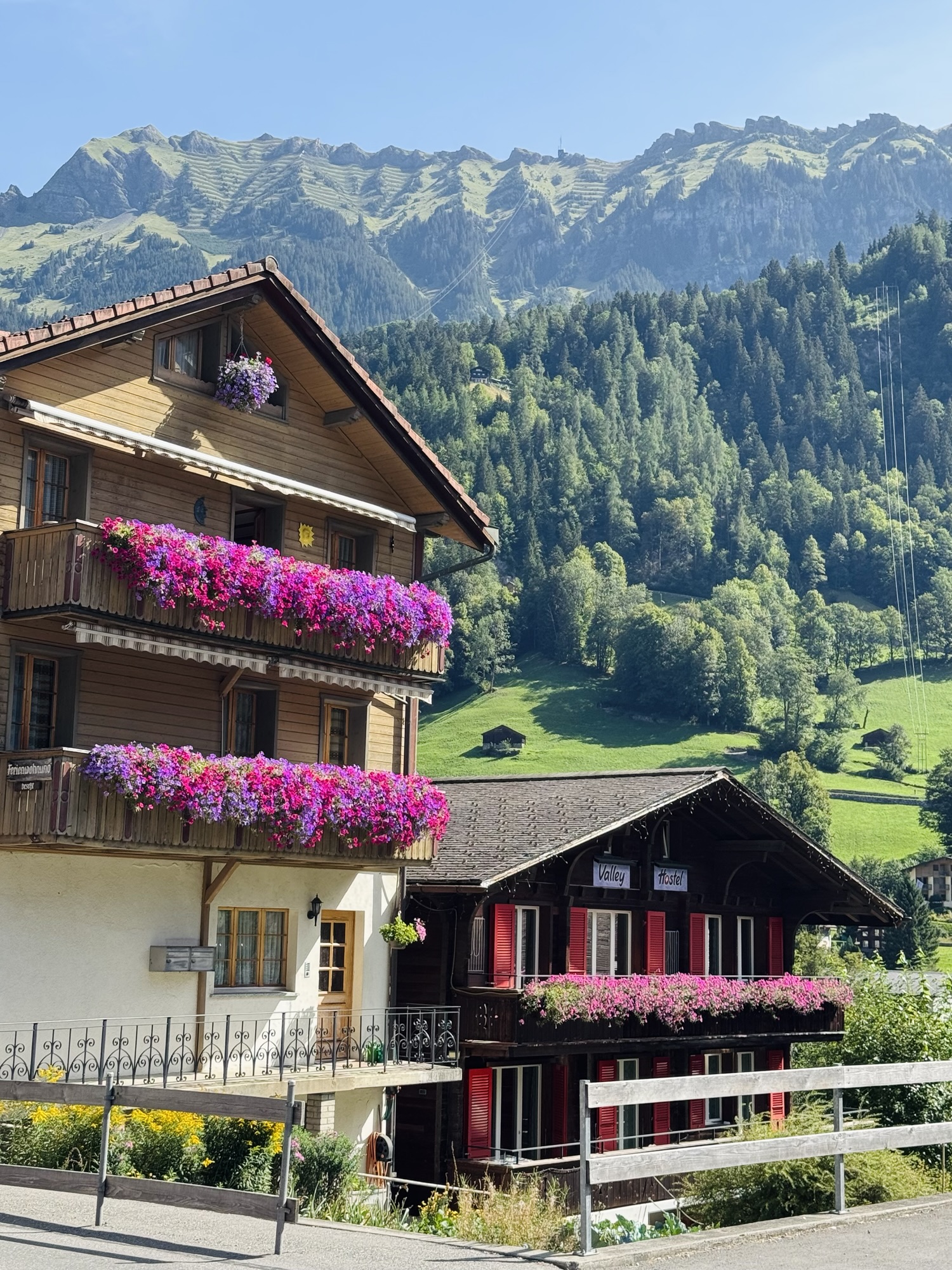 Traditional Swiss home with colorful flower boxes in Lauterbrunnen