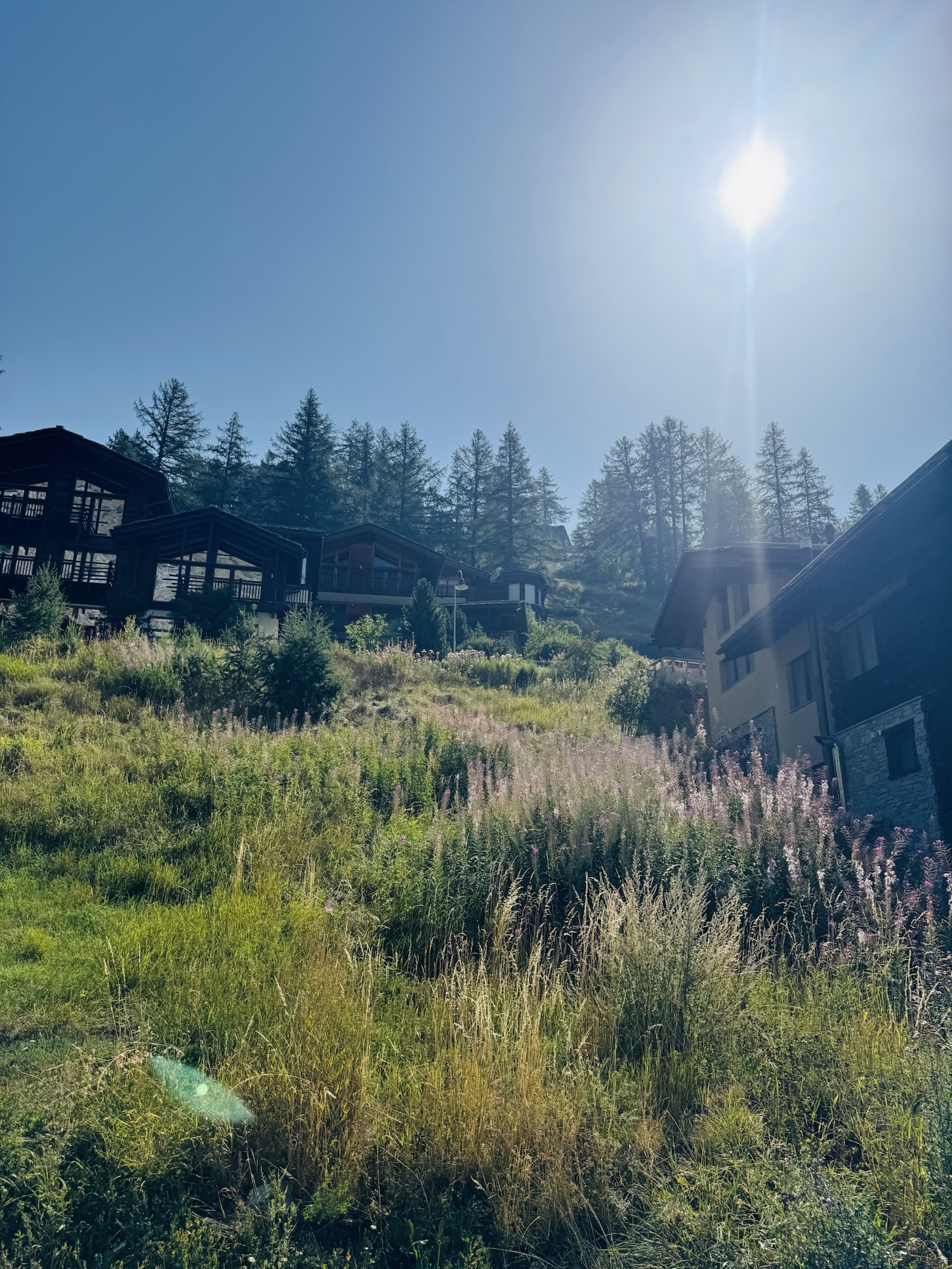 Cabins on a hill with greenery in Zermatt Switzerland