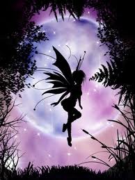 images (7)