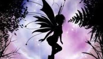 images (7)