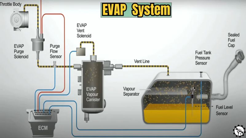 Evaporative Emission Control System How Does The E - Landscape Photos - Modern Ultra HD Collection