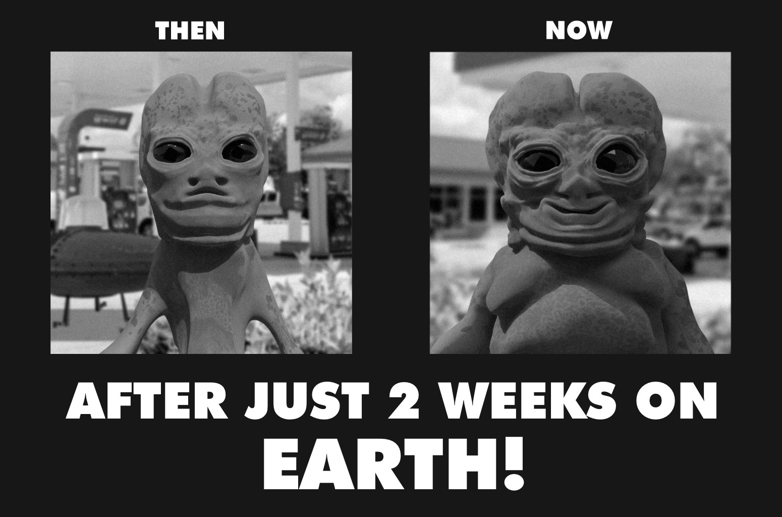 Alien lands on earth and gets chubby 2 aliens before and after After Just 2 weeks on earth