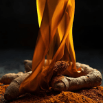 Turmeric: Healthy Tips and Why It’s Good for You