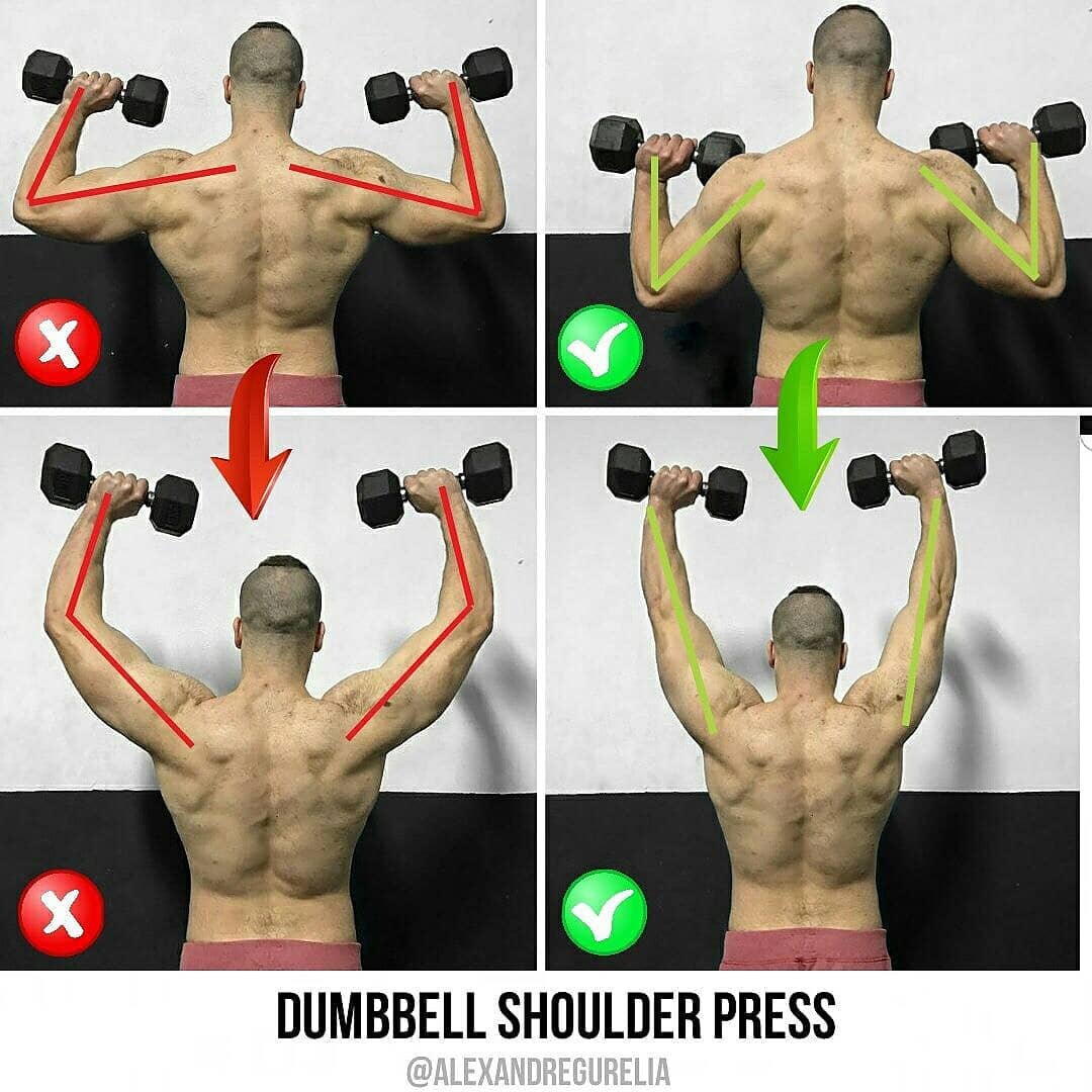 Now you can get a discounted cap set and bowflex weight bench today at walmart. DUMBBELL SHOULDER PRESS