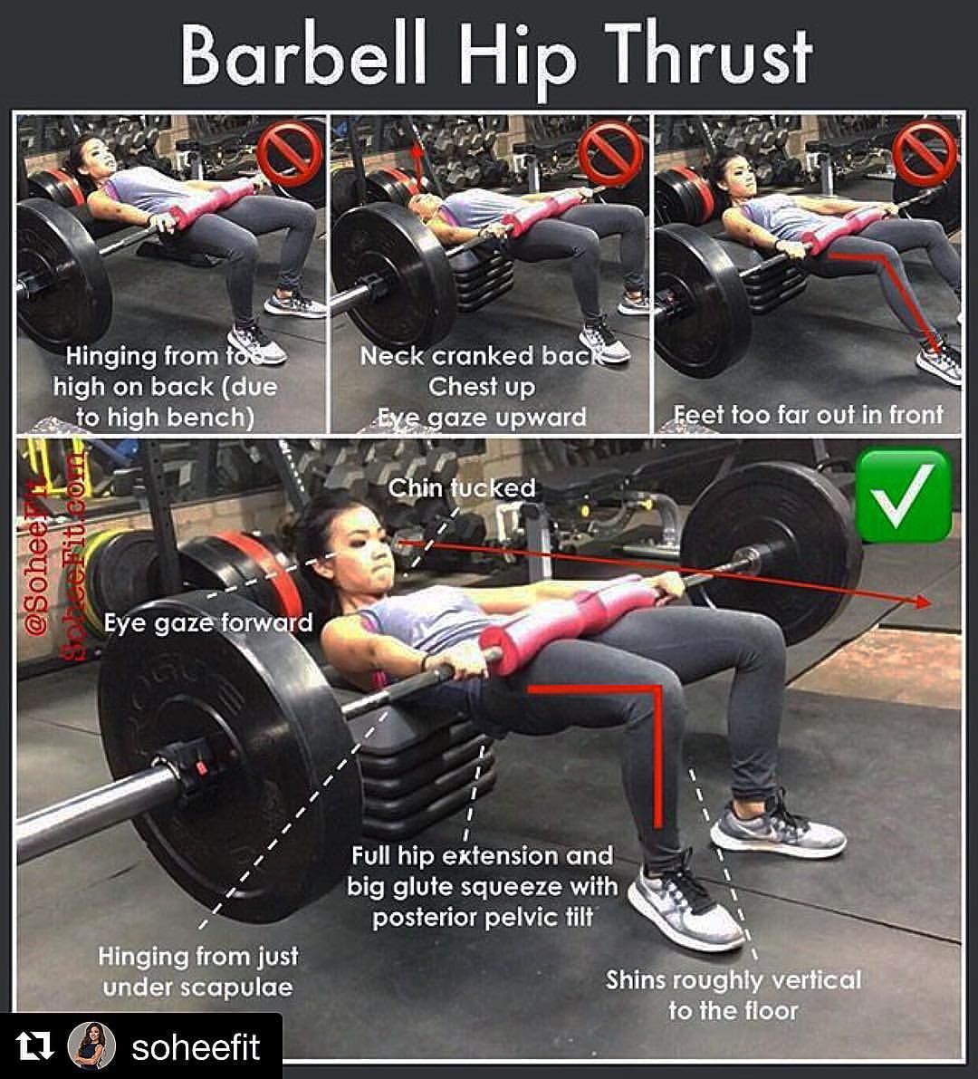 We may earn a commission through links on our site. The Barbell Hip-Thrust | Exercise Videos & Guides