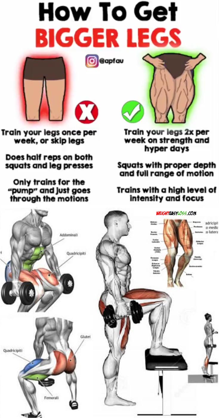 HOW TO GET BIGGER LEGS 576 