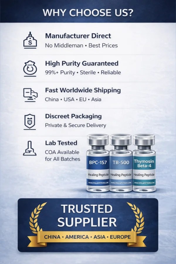 WHY CHOOSE US