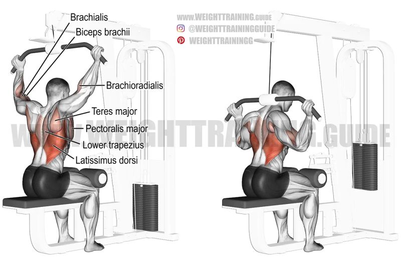 Lat Pulldown Vs Seated Row Major Differences Explained Artofit - Best Colorful Designs in High Resolution