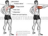 Seated Cable Row Exercise Instructions And Video Weight Training Guide