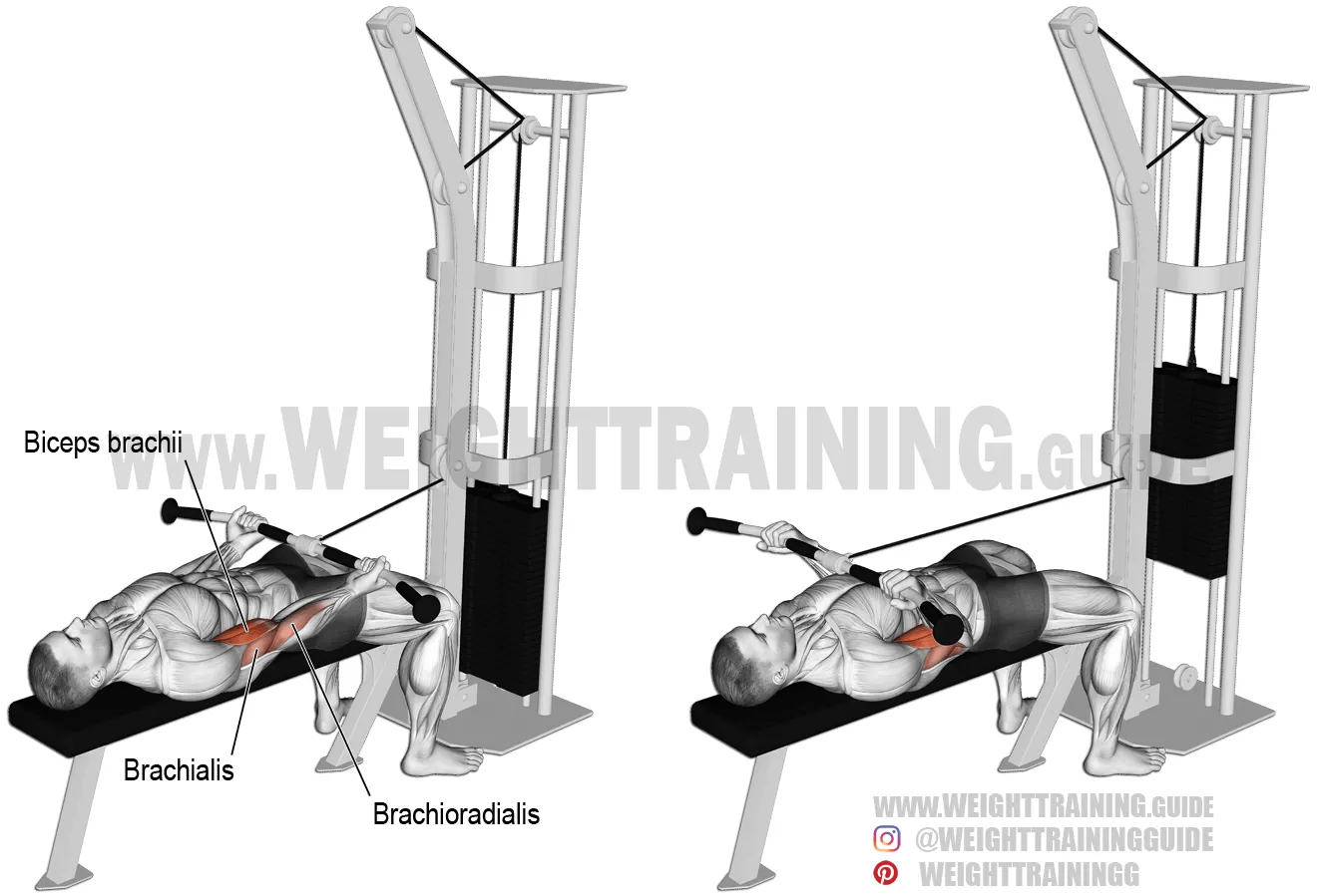 30+ Great Scott Curl Bench : Larry Scott Bodybuilder, Larry Scott Mr Olympia Workout - Cybex utility preacher scott curl bench.