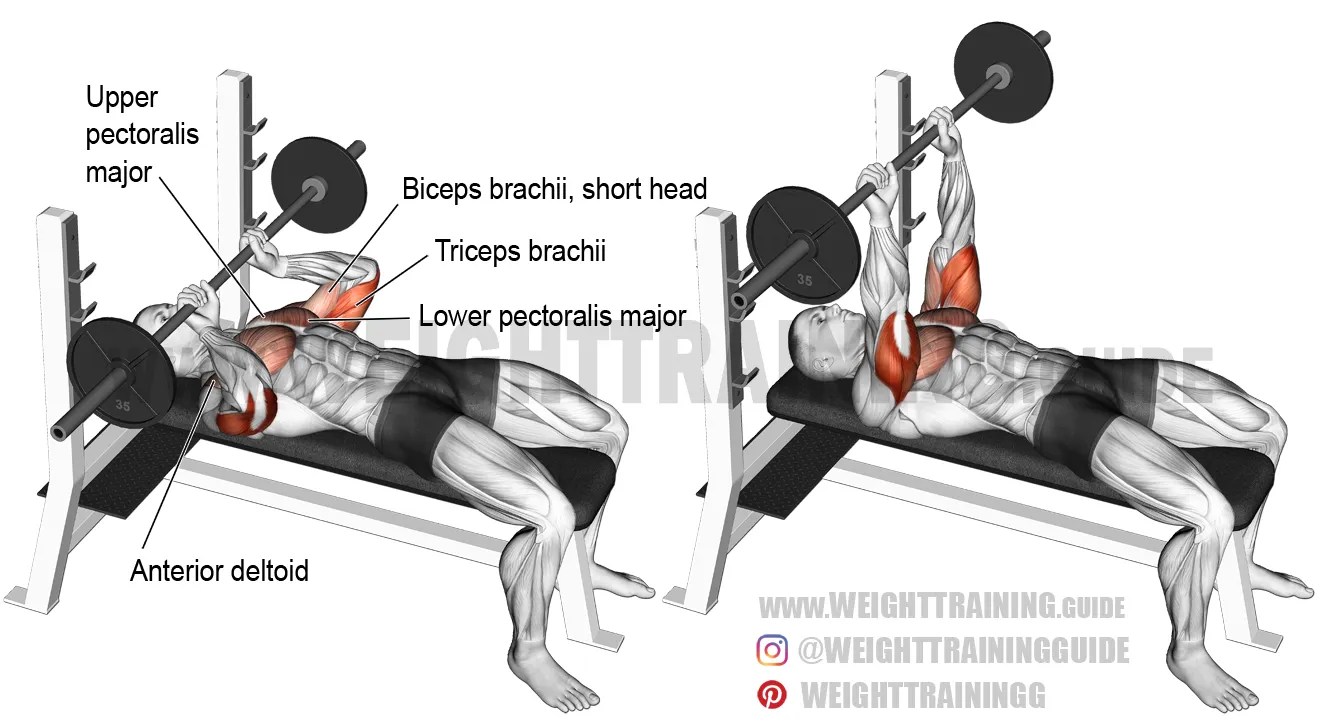 11+ Fresh Flat Bench Smith Machine Press : shopsmith 10ER | shopsmith | Joseph Watson | Flickr : #smithmachine #flatbench #bodybuilding #gym #fittness