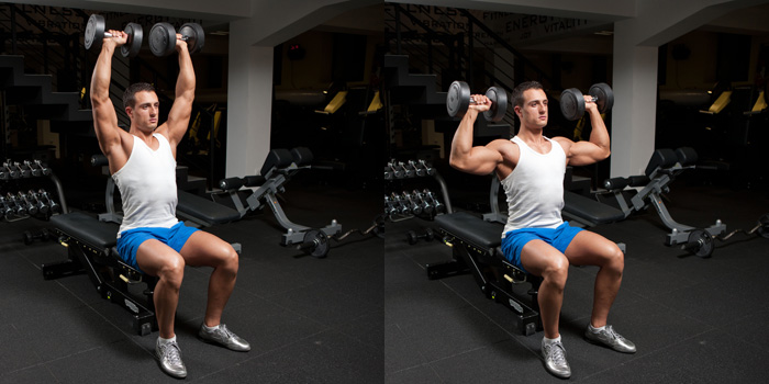 37+ Great Dumbbell Or Barbell Bench Press / Seated Shoulder Press | Weight Training Exercises 4 You - Bench press with a standard barbell is an excellent lift enlisting a large number of muscles to properly execute the .