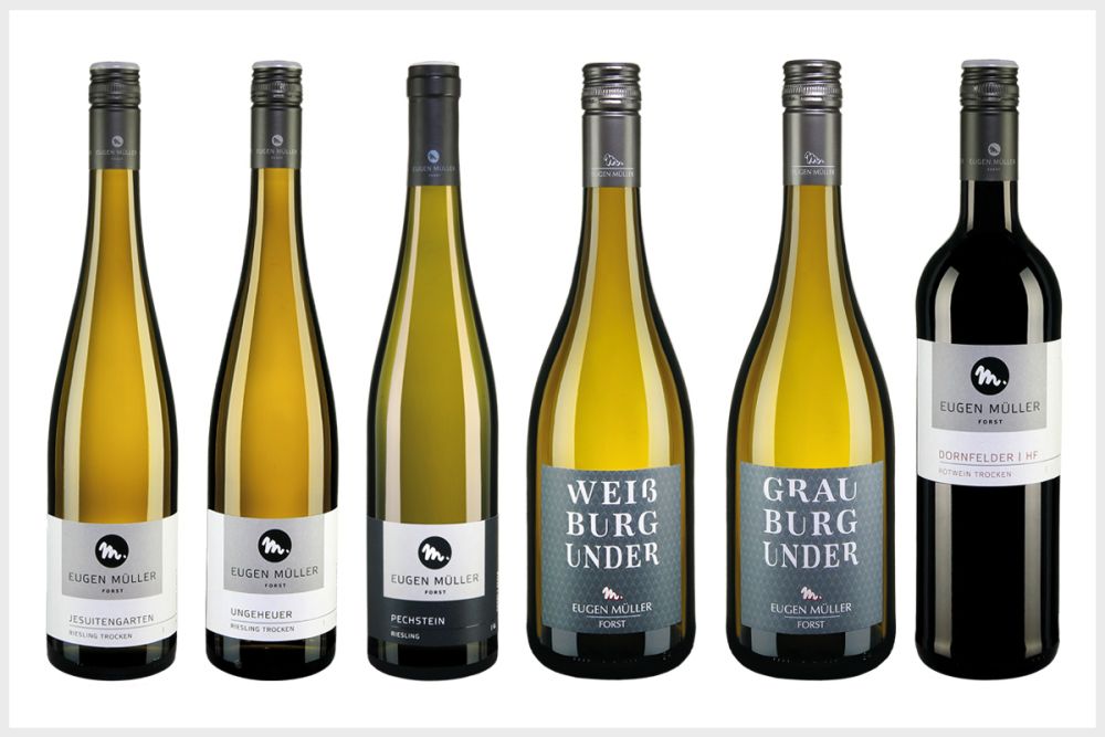 41+ Unique Weinprobe Zu Hause : Die Winzergenossenschaft Dagernova aus Dernau : Um eure geschmacksnerven nicht zu überfordern, genügen für den anfang .