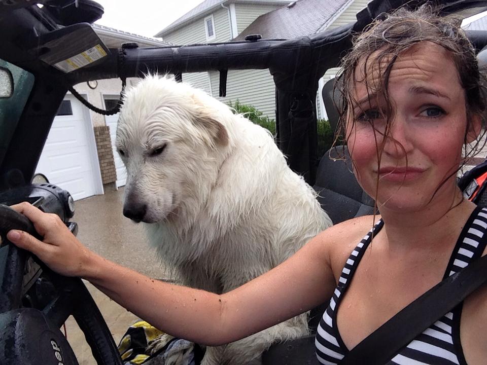 You are currently viewing 「狗狗傷人或沒綁好」—飼主的法律責任