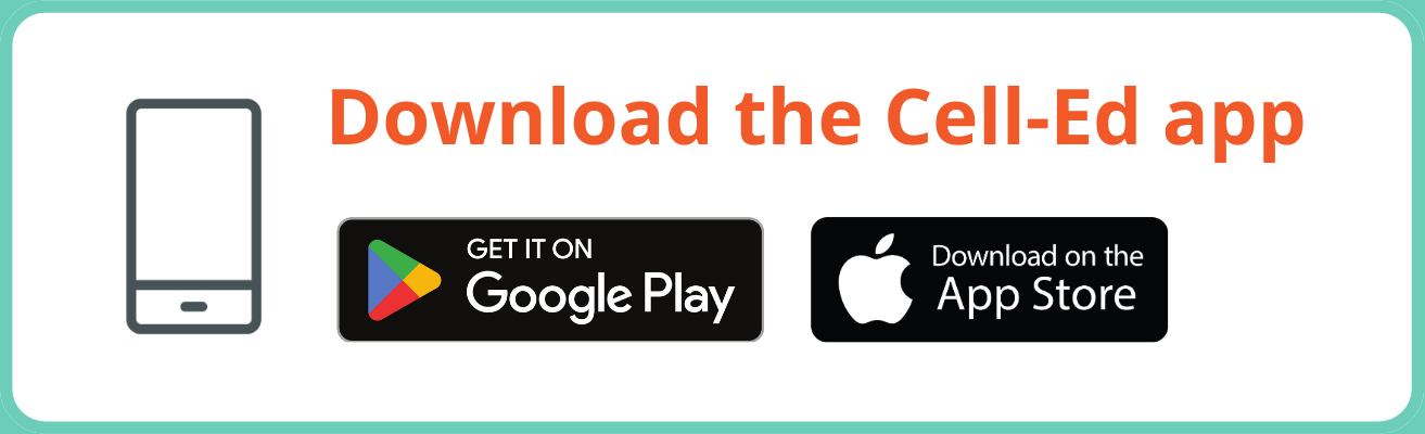 Skillbuilder Writing Cell Ed - Amazing HD Sunset Arts | Free Download