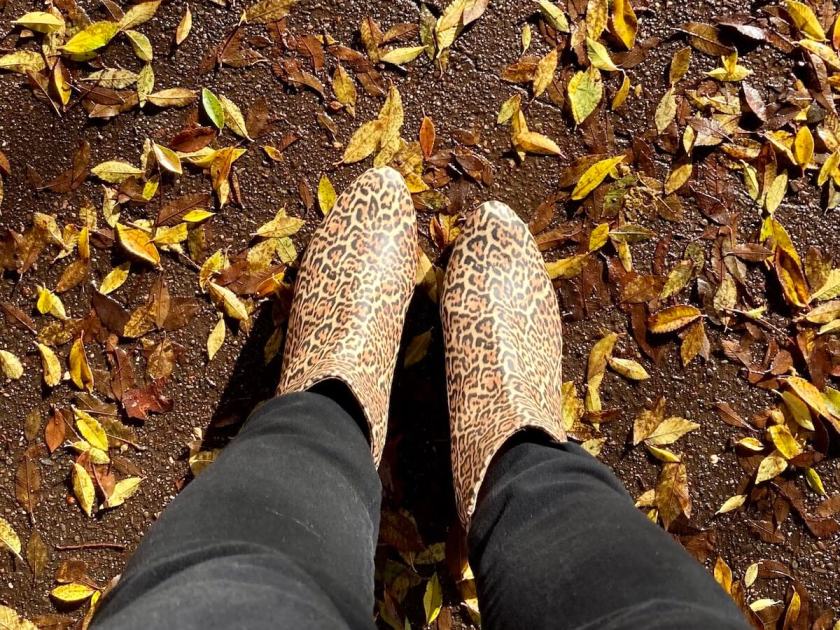 dr. Liza booties in leopard print among some leaves