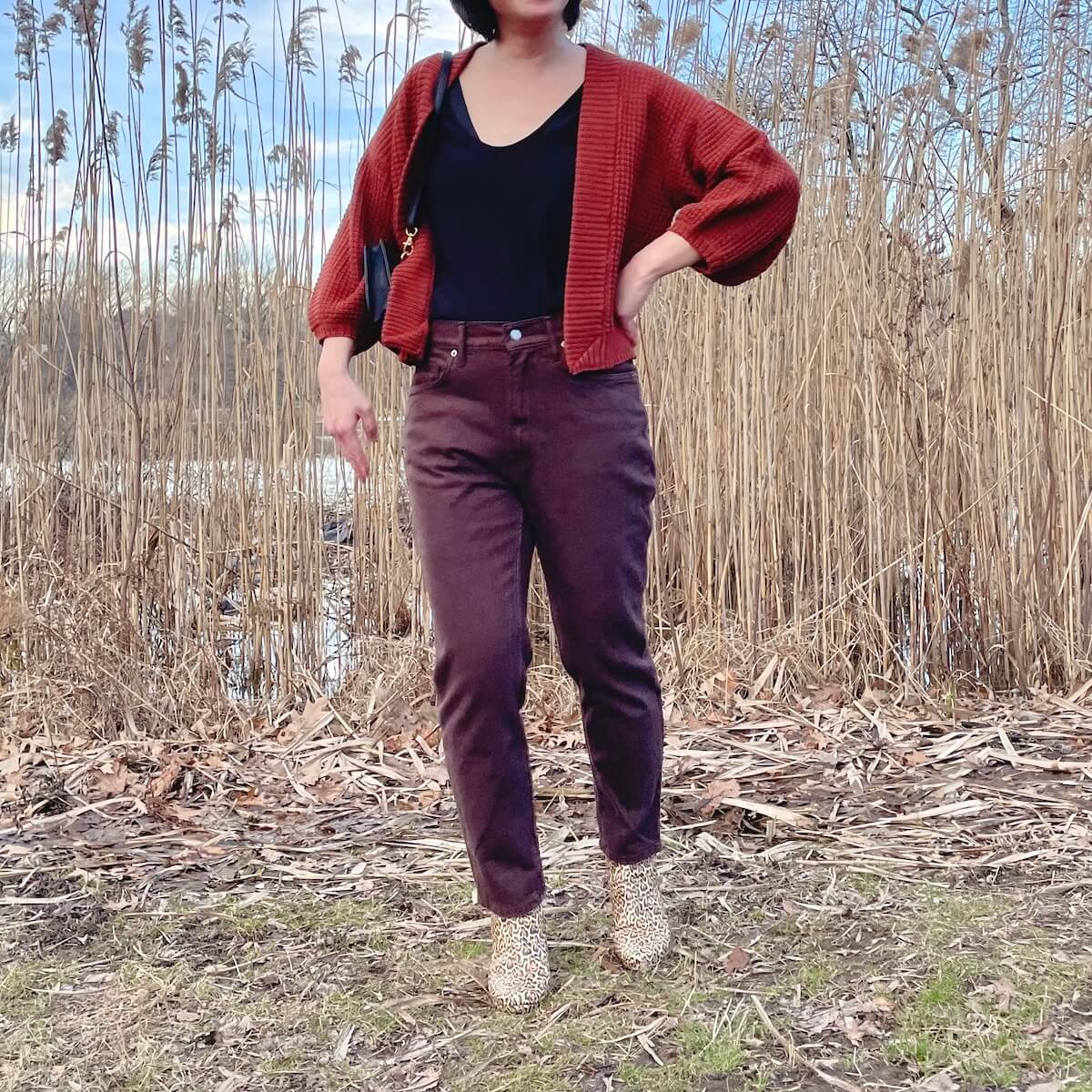 Everlane Review: The Original Cheeky 