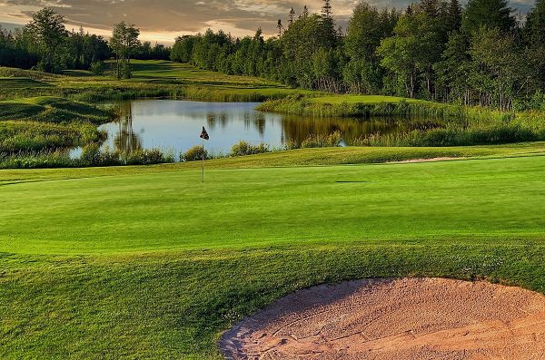 Avondale Golf