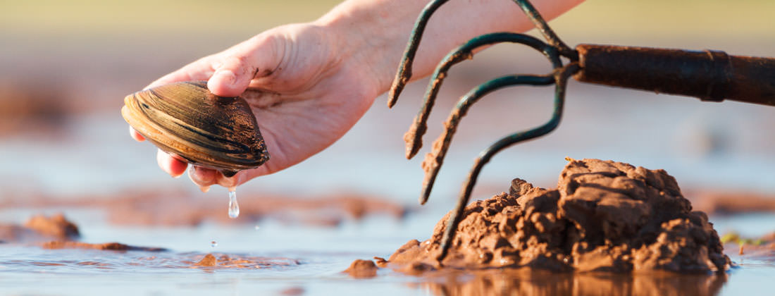 Clam Digging - Welcome PEI