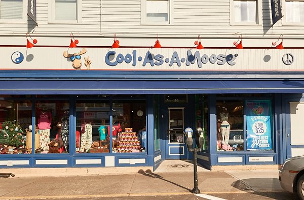 Cool As A Moose