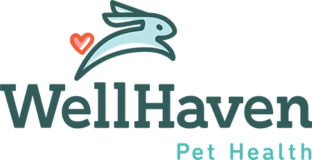 find a wellhaven pet health veterinarian near you on wellhaven pet health denver