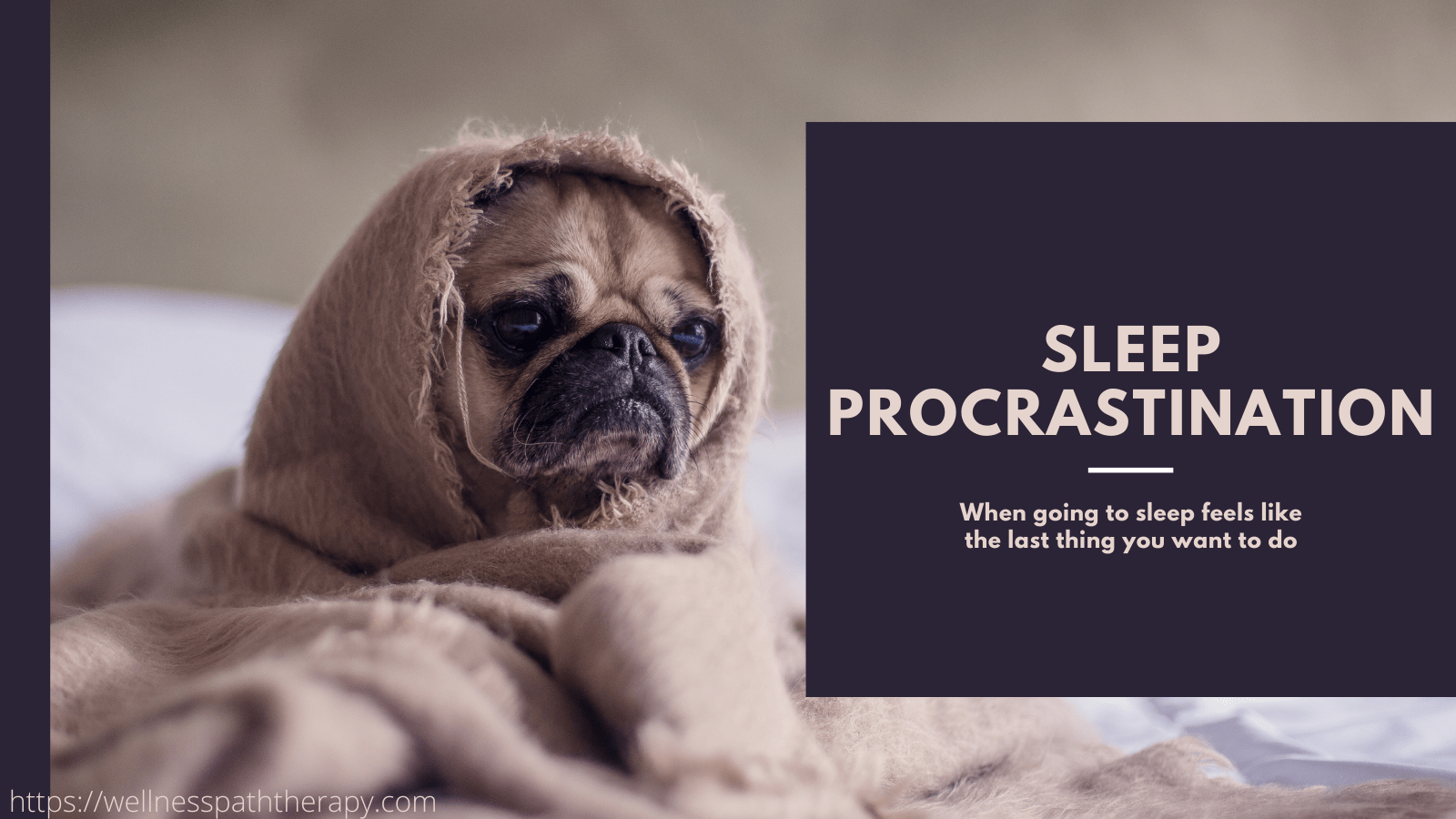 sleep procrastination