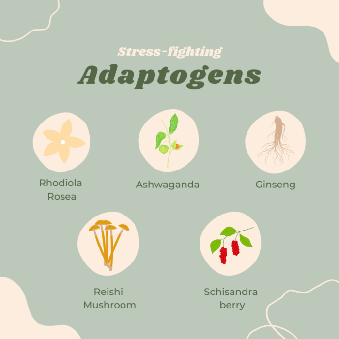 Adaptogen Botanicals Blend Stress Relief Capsules – Goti Health