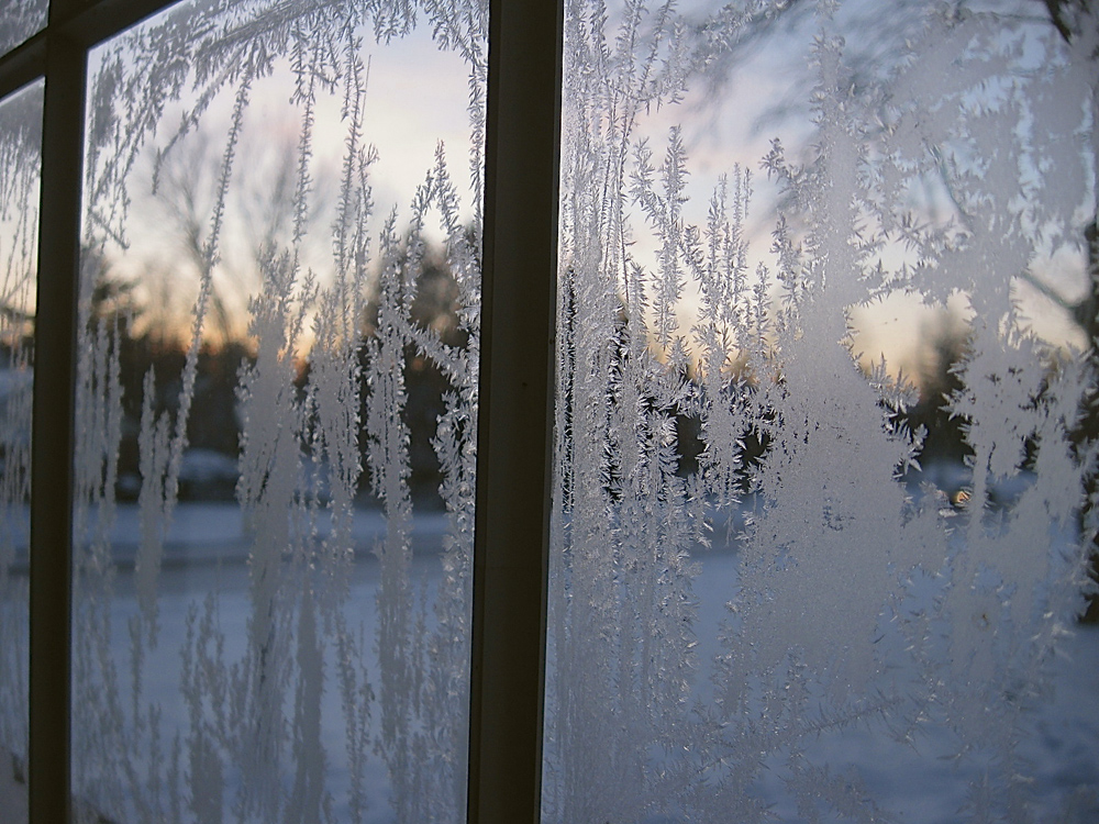 Winter Wonderland