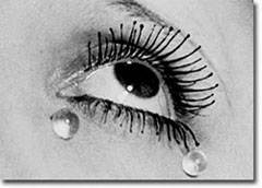 The Cutting Edge 2 Wenxinxu