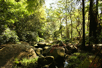 creek
