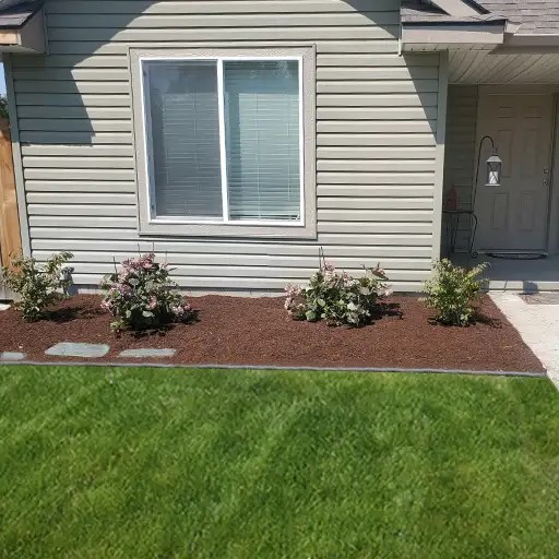 Shrub replacement for new flower bed