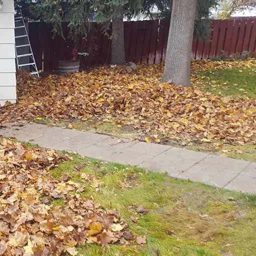 Fall cleanup