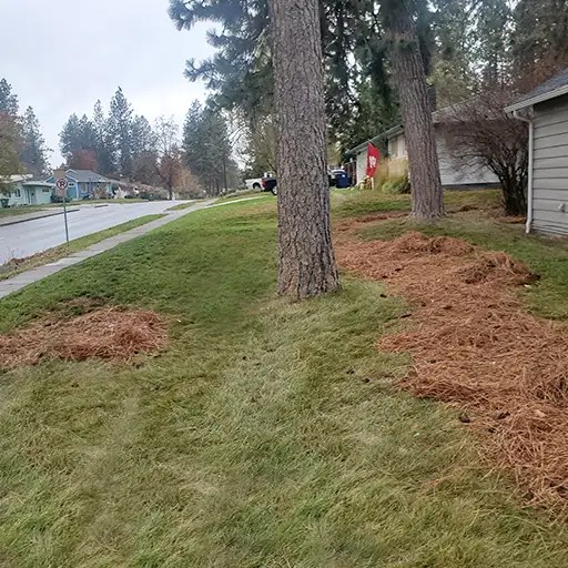 Fall cleanup