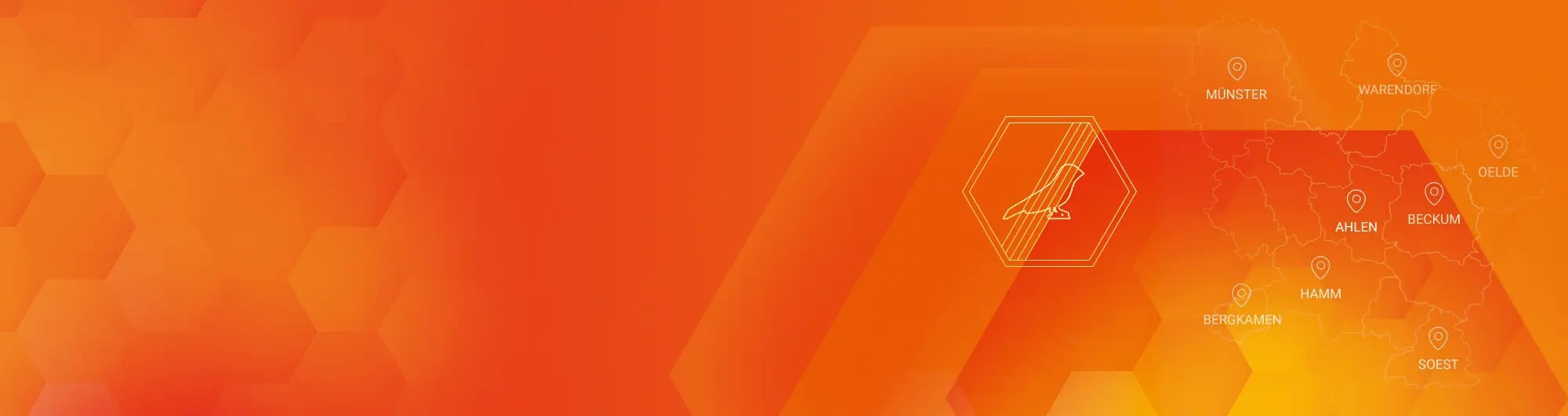 Tauben Vom Balkon Vertreiben 7 Tipps