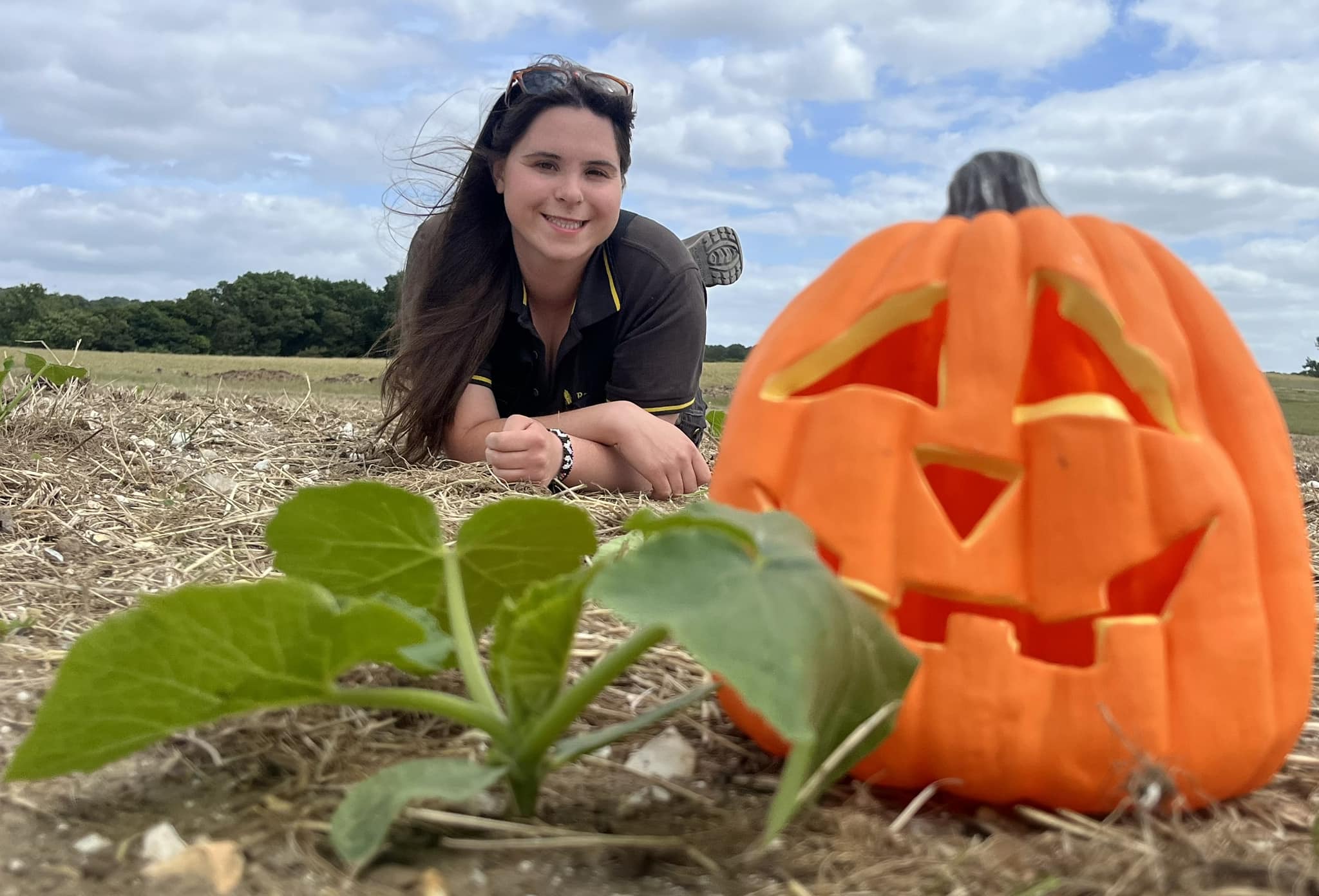 Berkshires Best Pumpkins Pick your own